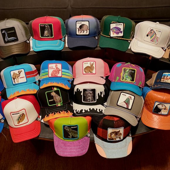 Goorin Bros. Limited Edition Trucker Hat - BEAUTIFUL - "Broken Camera" - Picture 7 of 7